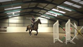 Behind The Scenes of Showjumping  Excelling Under Pressure [upl. by Nonrev549]