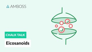 Eicosanoids Formation Function and Subclasses [upl. by Omlesna]