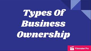 Types Of Business Ownership [upl. by Kenti774]