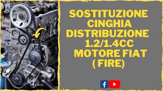 SOSTITUZIONE CINGHIA DISTRIBUZIONE FIAT 1214 [upl. by Politi658]