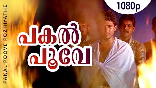 Pakal Poove Pozhiyathe  1080p  Chronic Bachelor  Lalu Alex  Sabitha Anand Mohan Ayiroor  Biyon [upl. by Akenet258]