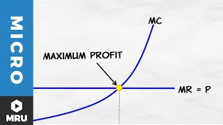 Maximizing Profit Under Competition [upl. by Jadd]