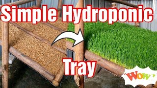 Simple Homemade Hydroponic Fodder Tray Making [upl. by Holbrooke]