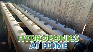 Hydroponics at Home [upl. by Htesil]