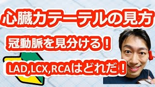 【看護師、研修医】冠動脈造影検査 心臓カテーテル検査の見方① LAD、LCX、RCAを10秒で見分ける方法！【看護学生、医学生、コメディカル】 [upl. by Swann874]