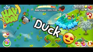 HayDay  Duck 🦆  Level 135 [upl. by Ruiz]