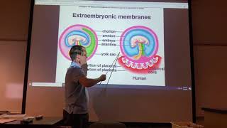 2402 Lab Extraembryonic Membranes and Fetal Circulation [upl. by Maurreen]