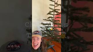 EcoFriendly Christmas Tree Reveal 🌲✨ IKEA Christmas Tree [upl. by Gnehc]