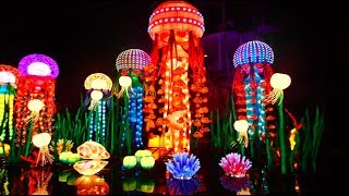 Berlins Light Festivals  DW English [upl. by Aseel]