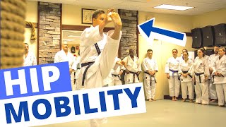 5 Hip Flexibility Exercises For Karate Training [upl. by Stubbs]