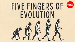 Five fingers of evolution  Paul Andersen [upl. by Rector]