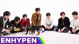 ENHYPEN The Puppy Interview [upl. by Tebazile]