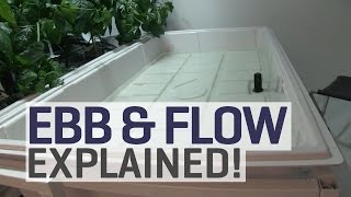 Ebb and Flow Hydroponics Explained [upl. by Uah]