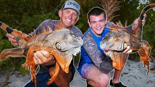 I Hunted GIANT IGUANAS in FLORIDA for the First Time [upl. by Ttej]