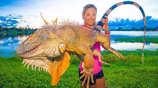 Massive IGUANA Hunting in my Backyard Catch Clean Cook WORLD RECORD [upl. by Waine756]