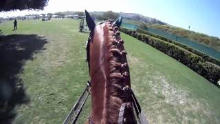 GoPro Horse Show Jumping [upl. by Naahs395]