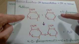 Disacáridos [upl. by Anawik]