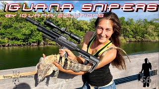 Iguana Snipers 56 removes invasive Iguanas in South Florida with the new Atomic XR [upl. by Neumark758]