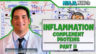 Immunology  Inflammation Complement Proteins Part 3 [upl. by Antoinette333]