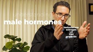 Doctor explains How to Understand Male Hormones and Fertility [upl. by Adianez]