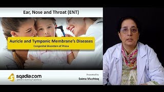 Auricle and Tympanic Membrane’s Diseases  ENT Video Lectures  VLearning [upl. by Francene]