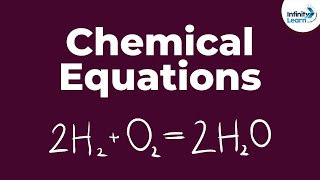 How Chemical Equations are Formed  Dont Memorise [upl. by Aay149]