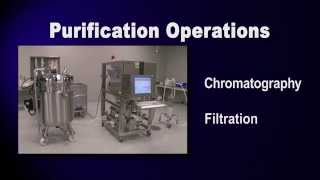 Purification Overview GFP Purification part 1 of 6 [upl. by Sibilla]