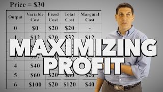 Maximizing Profit Practice [upl. by Norling961]