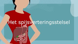 Het spijsverteringsstelsel [upl. by Rehtnug]