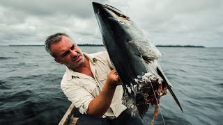 UN MONSTRE DÉCOUPE MON BARRACUDA EN DEUX  Cyril Chauquet [upl. by Sarena431]