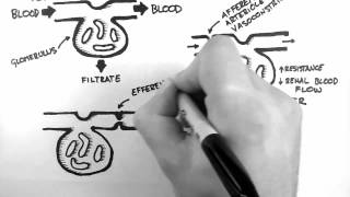 GFR 1  Control of GFR [upl. by Attenov]