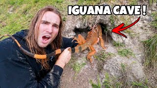 RESCUING FROZEN IGUANAS FROM UNDERGROUND CAVES [upl. by Lanza]