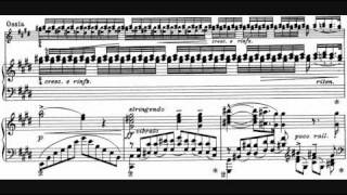 Liszt  Sonetto 104 del Petrarca S 161 No 5 André Laplante [upl. by Llerihs]