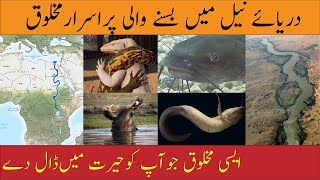 Facts About Darya e Nile River  Hazrat Umar ka Khat darya e Nile ko  YT Urdu TV [upl. by Goldsworthy]