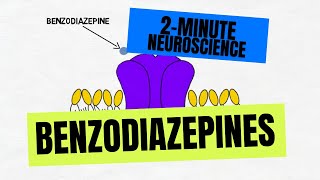 2Minute Neuroscience Benzodiazepines [upl. by Abihsot269]