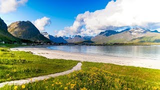 Uplifting Music  light positive happy music Gullrosøya  1 hour [upl. by Laicram]