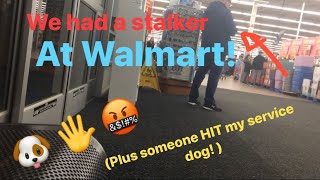 HE HIT MY SERVICE DOG  being stalked in WALMART Service dog harassment [upl. by Anilag]