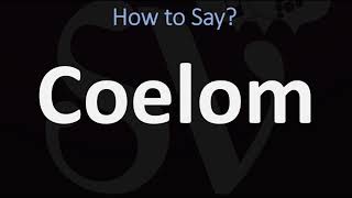 How to Pronounce Coelom CORRECTLY [upl. by Tniassuot96]