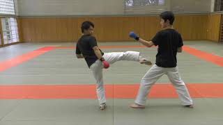 【KARATE TUTORIAL】Kumite Tactics Against Bigger Opponents [upl. by Fellows]