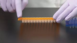 Learn How to Choose a PCR Plate [upl. by Oap]