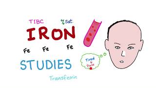 Iron Studies  Serum Fe TIBC ferritin amp Transferrin  Saturation [upl. by Ybbob]