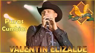 Valentin Elizalde Puras Cumbias  20 Mejor Exitos [upl. by Aivata]