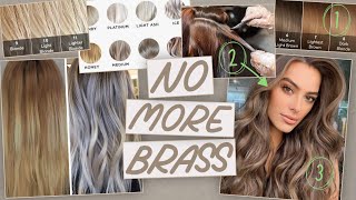 5 Solutions  Best Products to Get Rid of Brass in YOUR Hair [upl. by Ahsik]