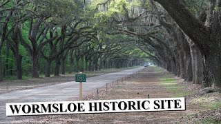 Wormsloe Historic Site  Savannah GA [upl. by Moreland56]