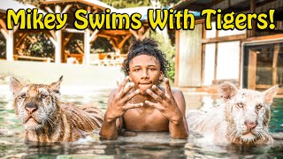 Mikey Williams Swims with Tigers and More   Myrtle Beach Safari [upl. by Quent478]