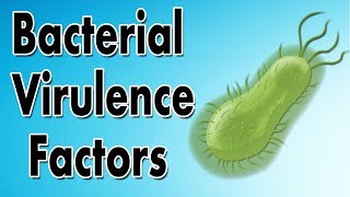 Bacterial Virulence Factors [upl. by Sharon695]