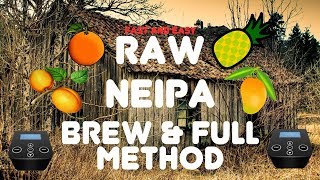 Raw NEIPA Brew amp Full Method Guide [upl. by Kolodgie916]