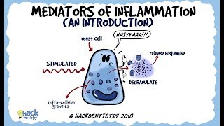 Mediators of Inflammation An Introduction [upl. by Ina]