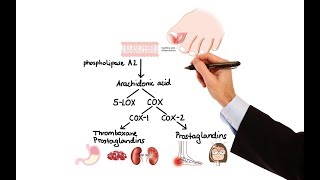 Pharmacology  NSAIDs amp PROSTAGLANDIN ANALOGS MADE EASY [upl. by Subocaj912]