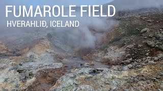 FUMAROLE FIELD AT HVERAHLIÐ Iceland 🔥 [upl. by Enyamart]